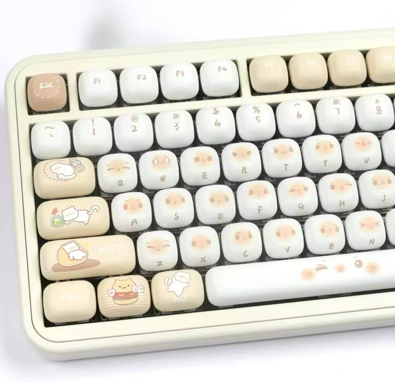 Custom Keyboards